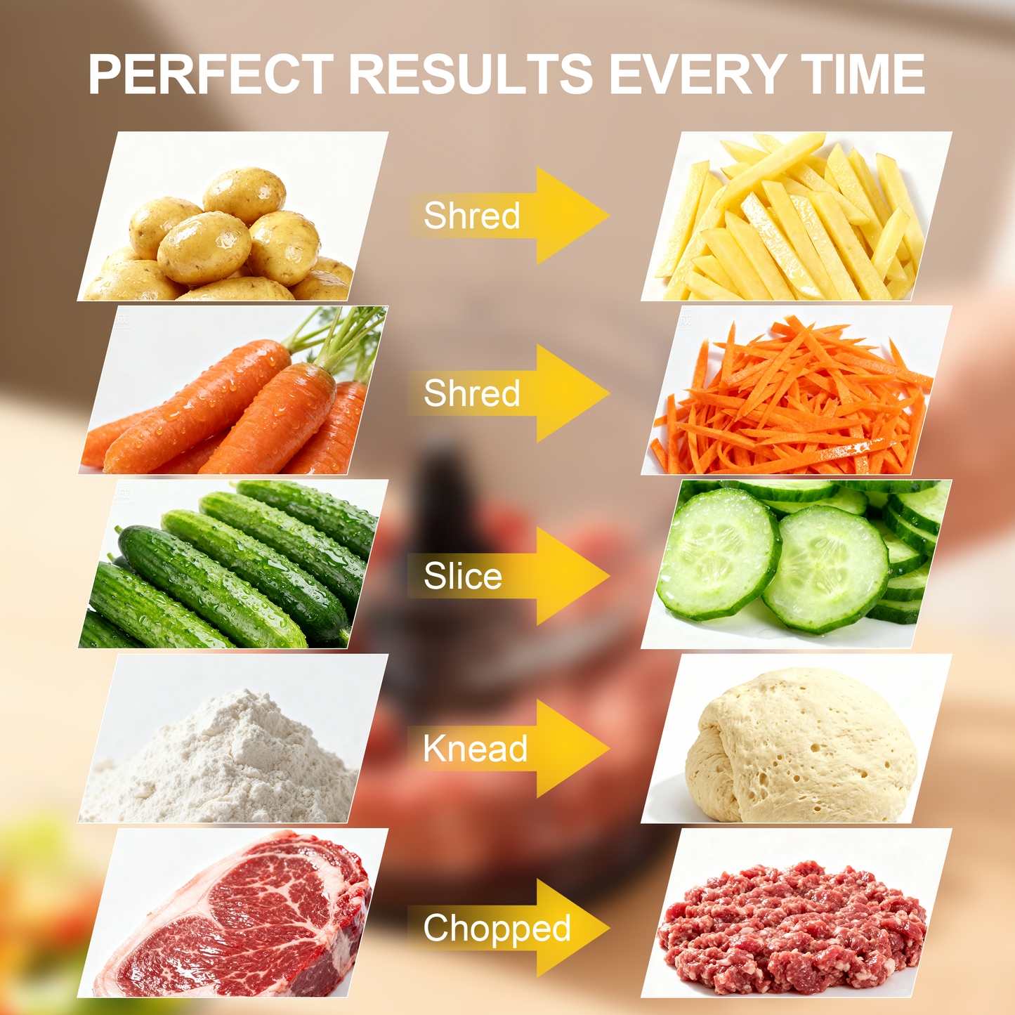 Tomeem Food Processor 600W, 12 Cup, 2 Speeds+Pulse, Chop, Puree, Slice, Shred & Knead Dough